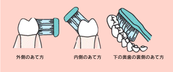 歯の磨き方